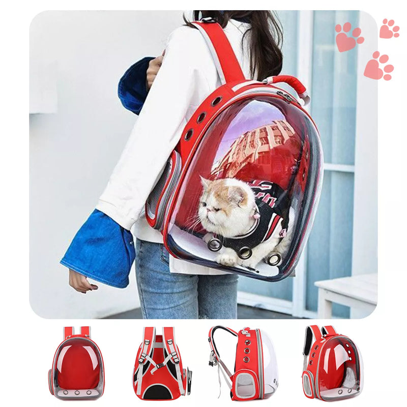 Mochila Pet Transporte para Cães e Gatos - Visão Ampla