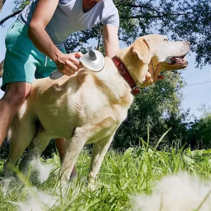 Escova para Pets 2 Em 1